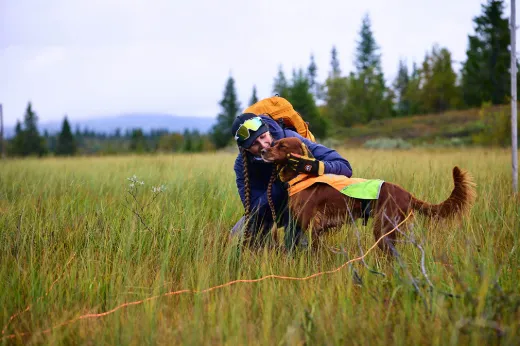 Bilde av Non-stop dogwear Protector round long line Orange